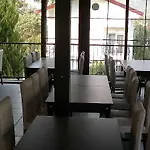 Zehra أولدينيس