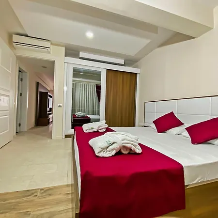 Zehra 올루데니스