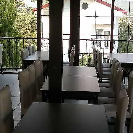 Zehra 厄吕代尼兹